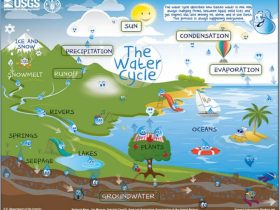 Imagen de la actividad 'Interactive Water Cycle Diagram for Kids'
